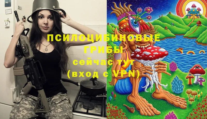 Галлюциногенные грибы Psilocybine cubensis  Вятские Поляны 